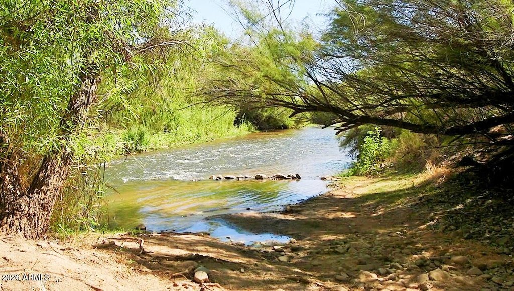 Picture 33