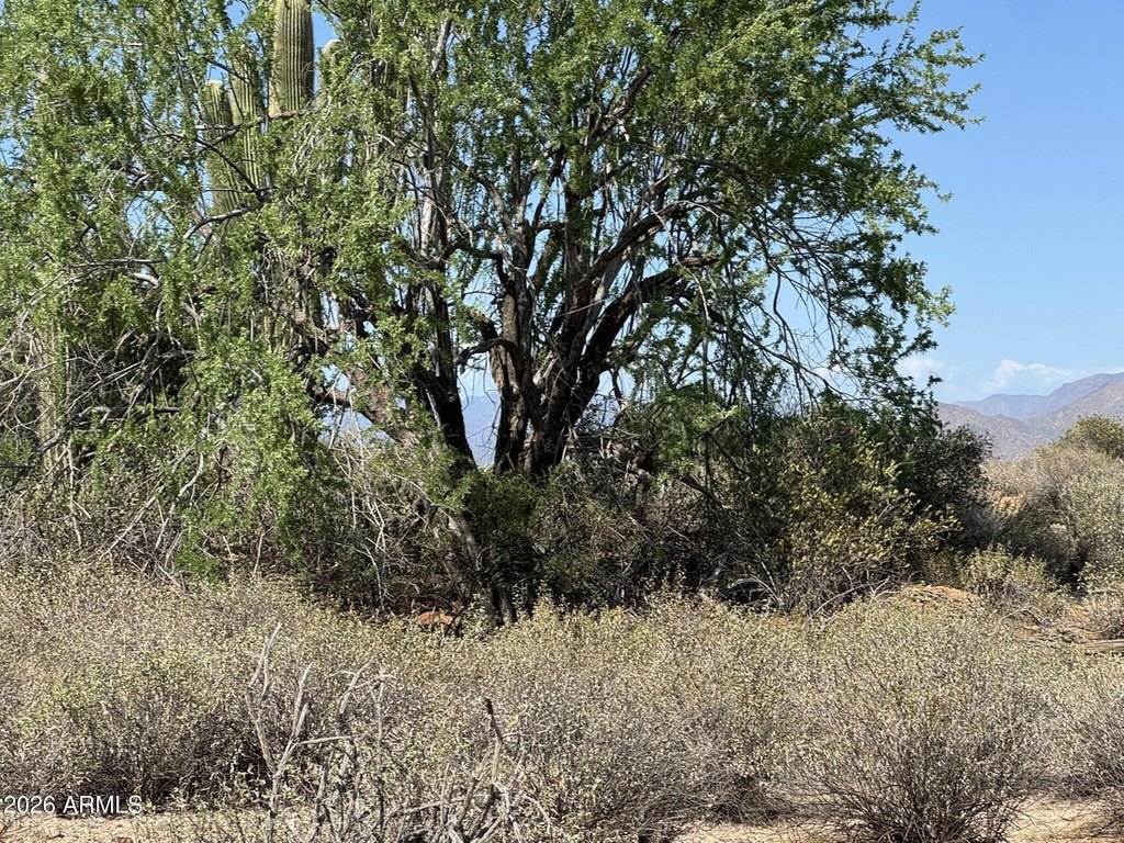 Picture 18