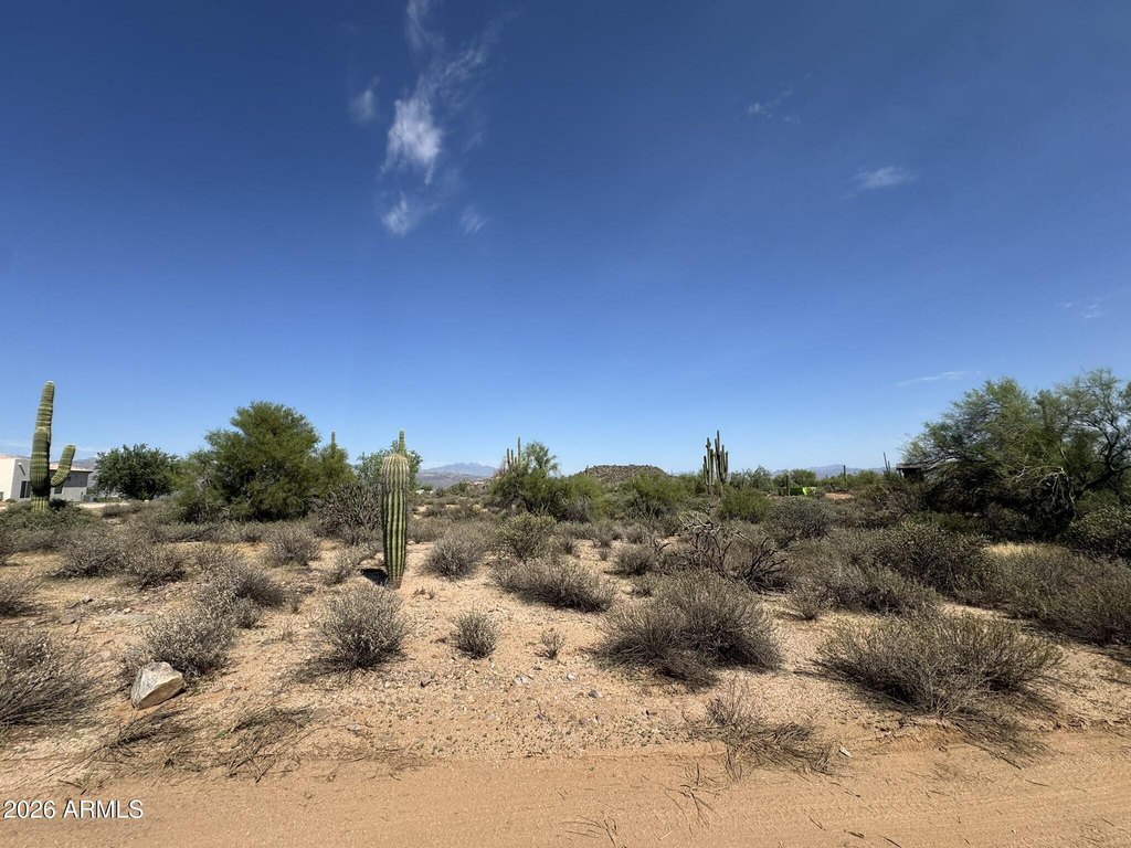 Picture 22