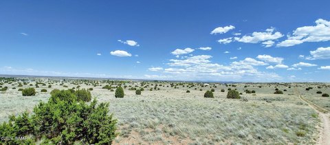 253.90 Acres in Taylor, AZ