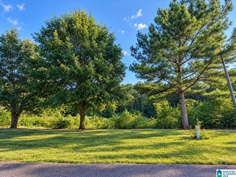 LAND/LOTS, JEMISON, AL