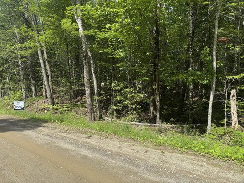Residential Forest Home Lot