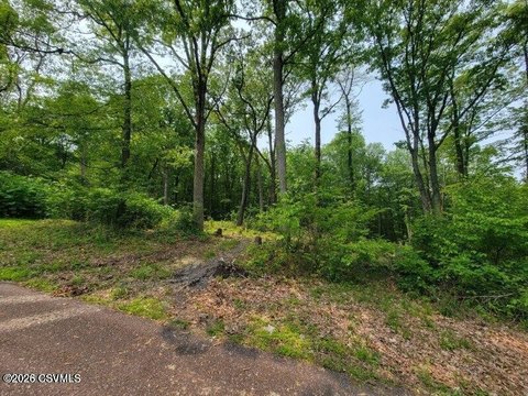 Residential Land in Mt. Carmel