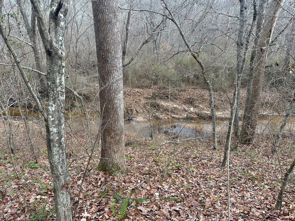 Picture 13