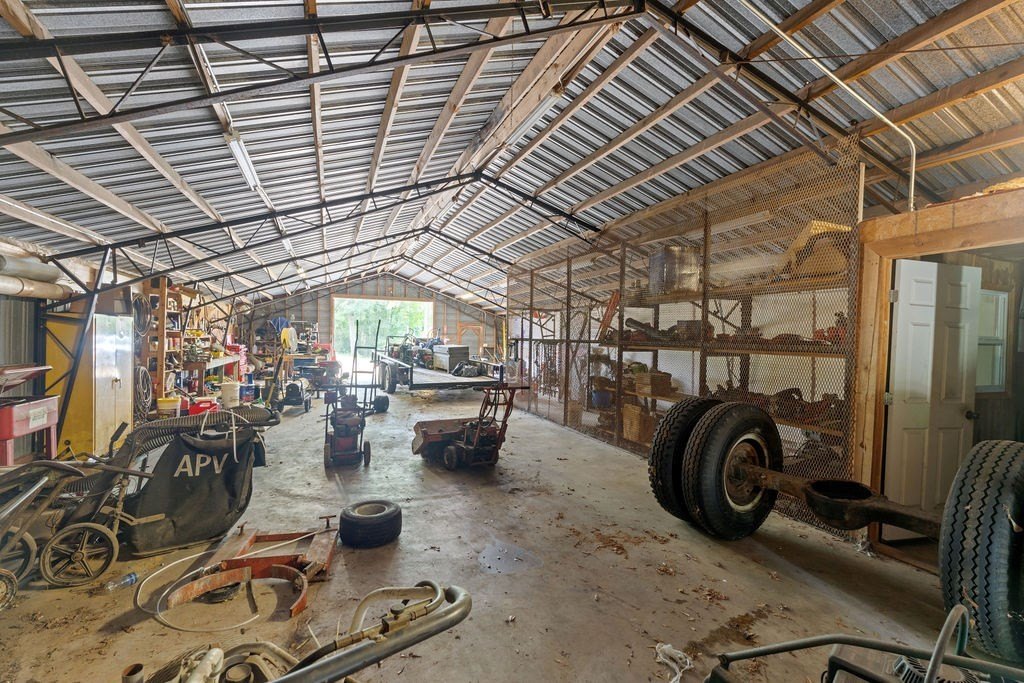 Picture 14