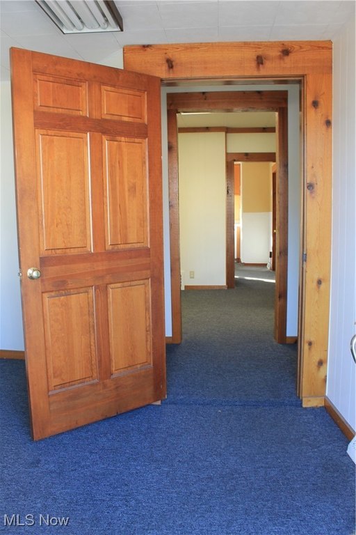 Picture 25