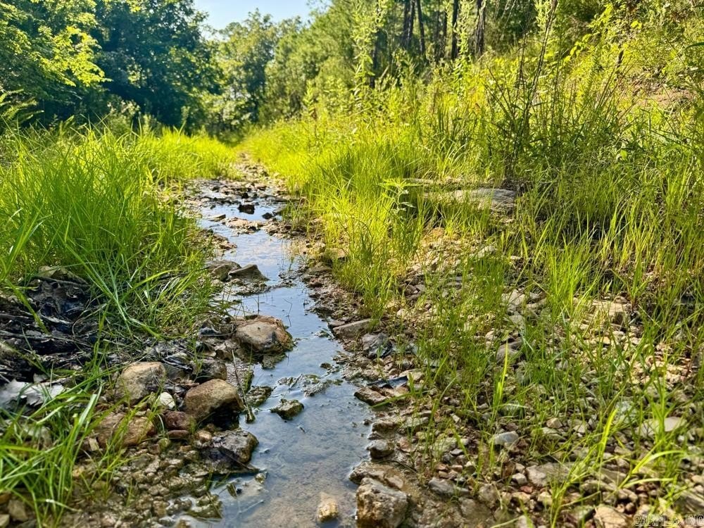 Picture 23