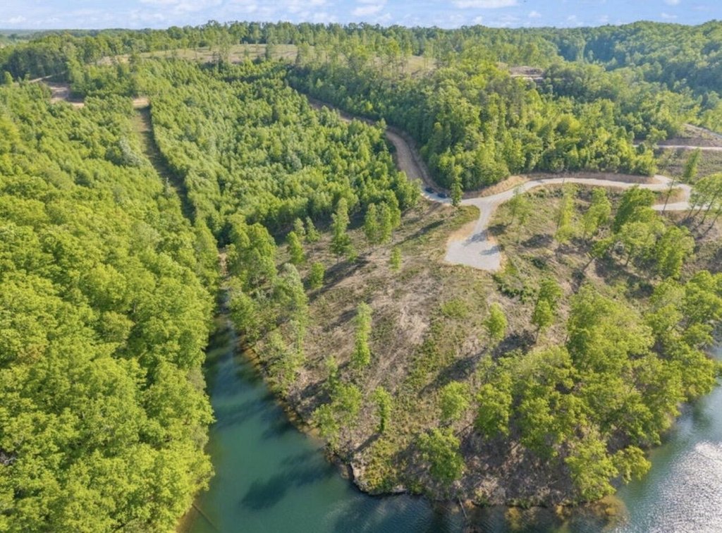 Picture 25