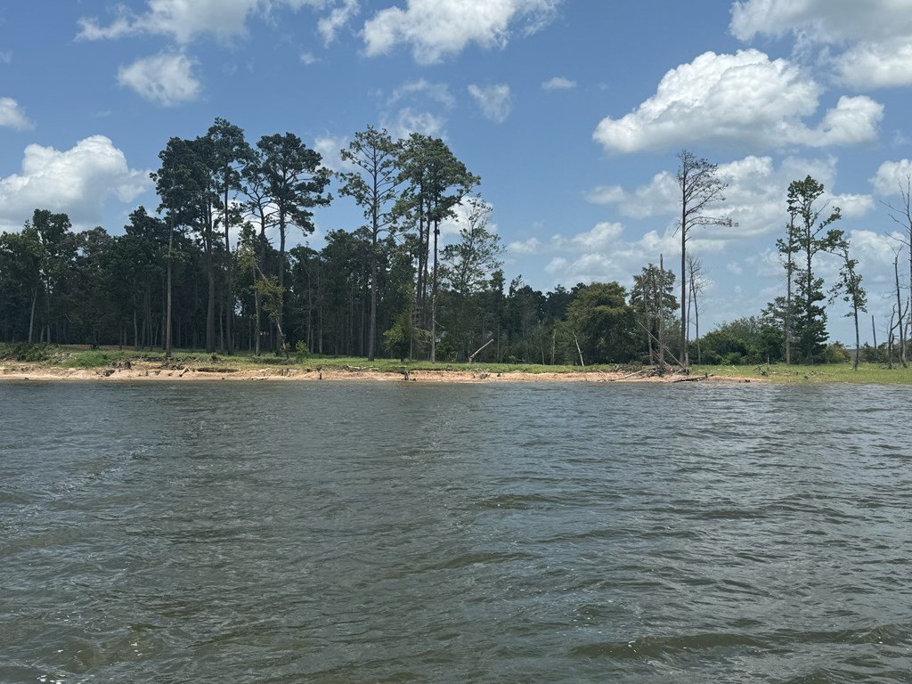 Picture 25