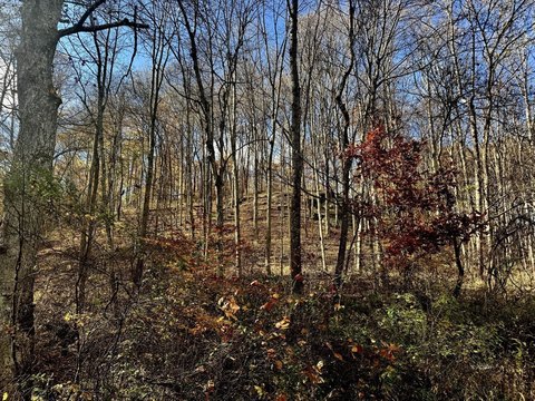 Racine, OH Recreational Land