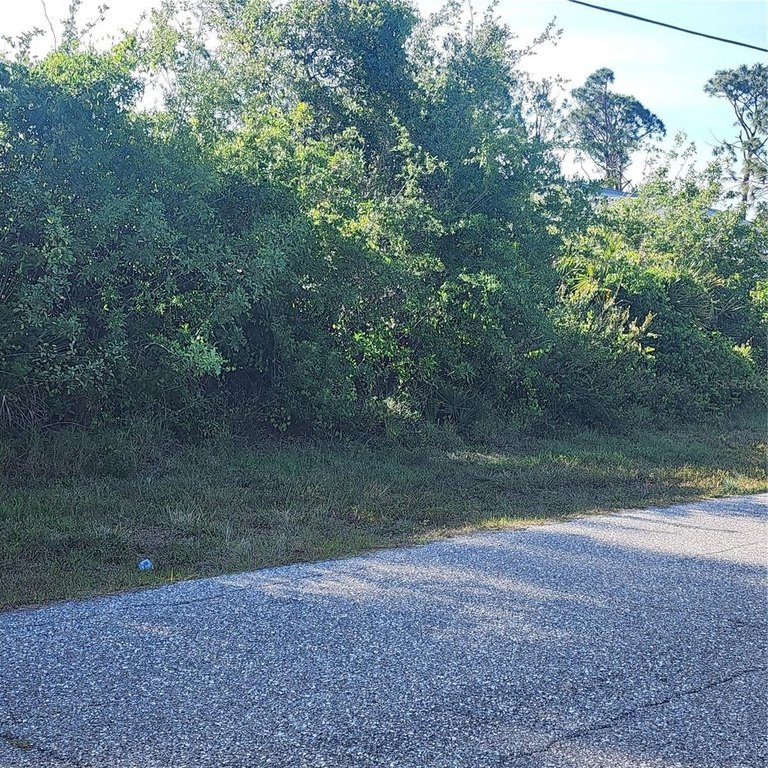 Picture 15