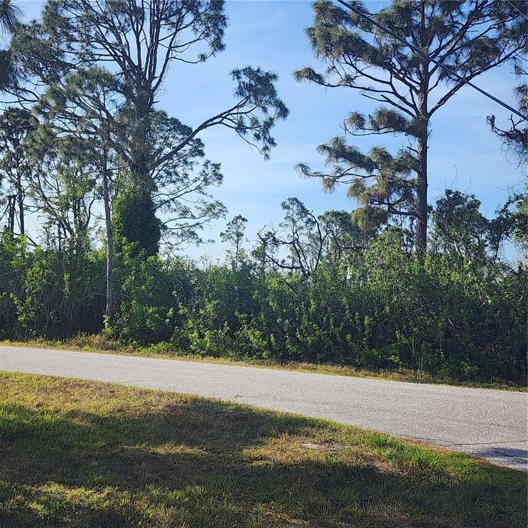 Picture 6