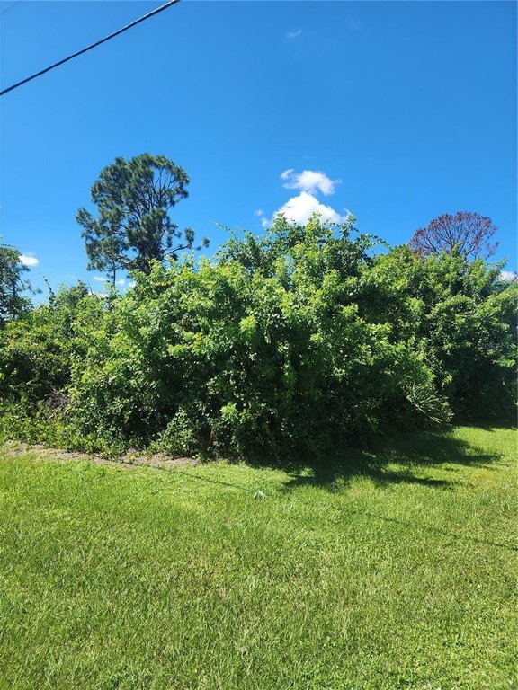 Picture 18