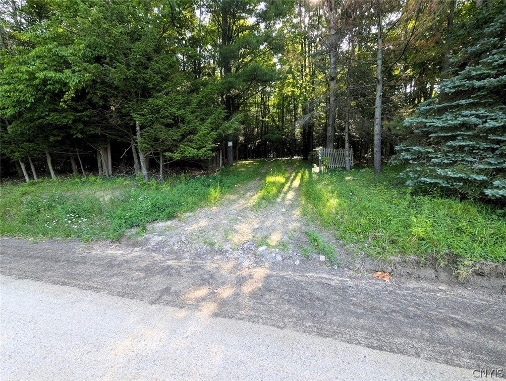 Picture 42