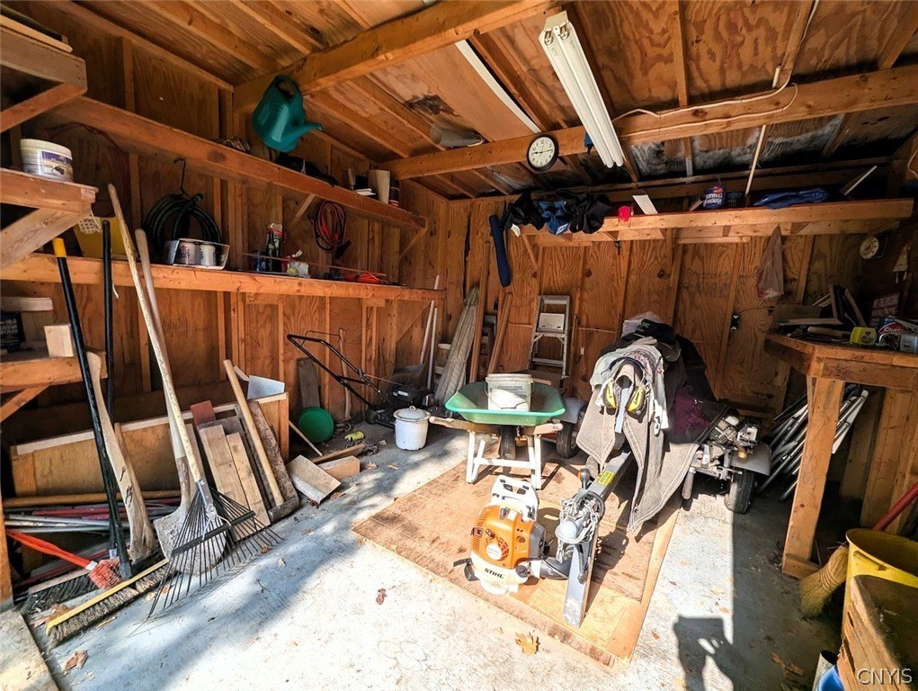 Picture 21