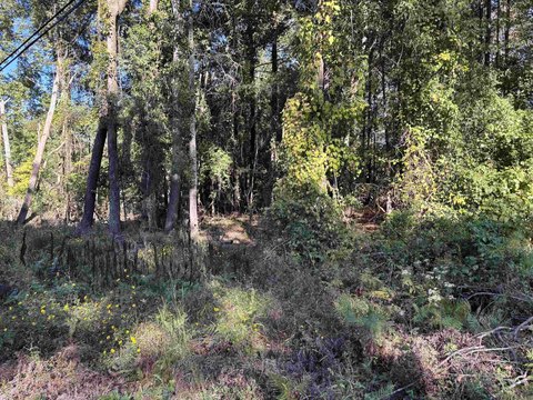 Residential Land in Sheridan, AR