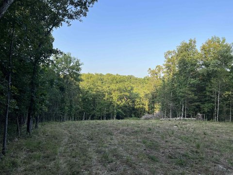 Land with Cleared Building Site