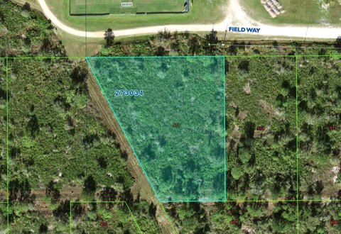 Expansive Land Near Warner College