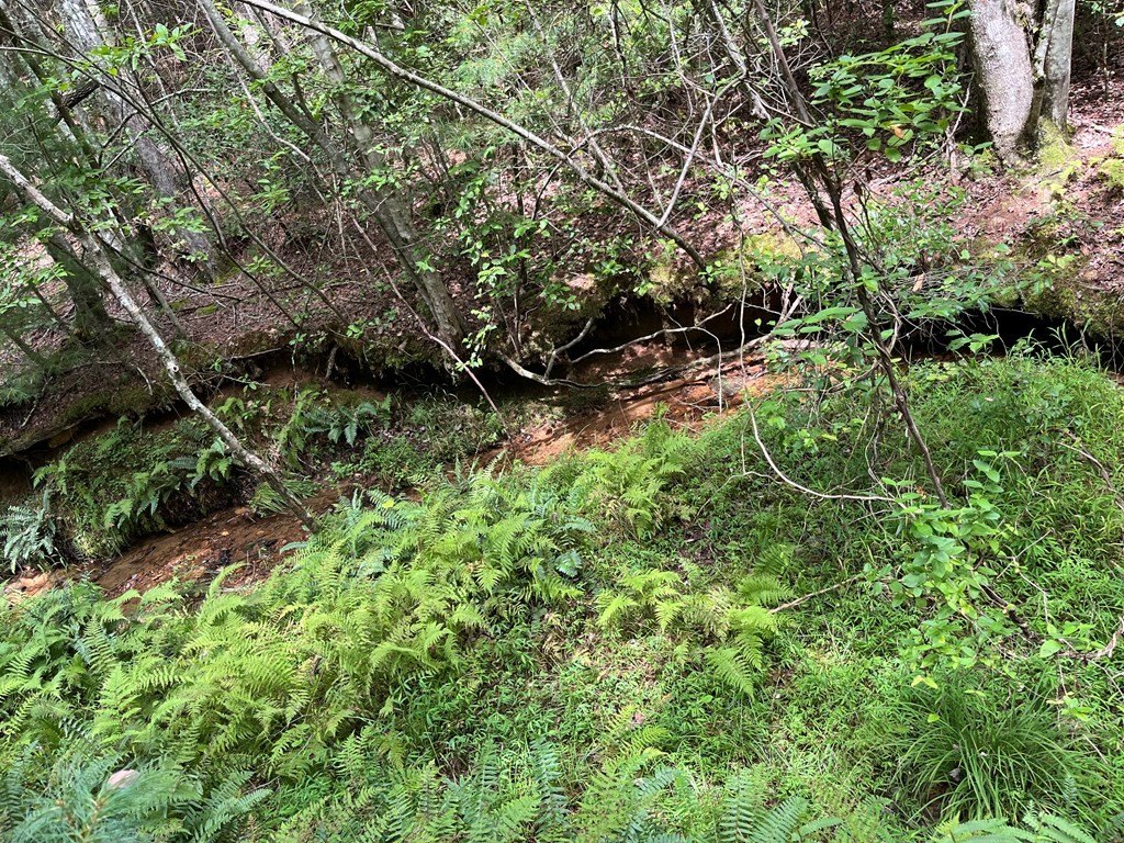 Picture 16