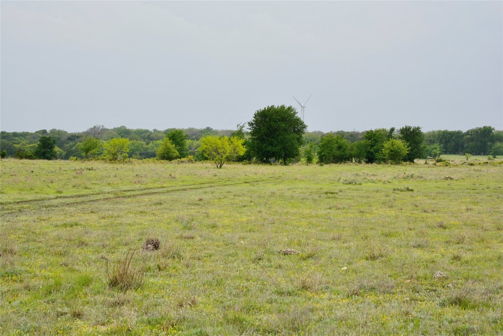 Picture 10