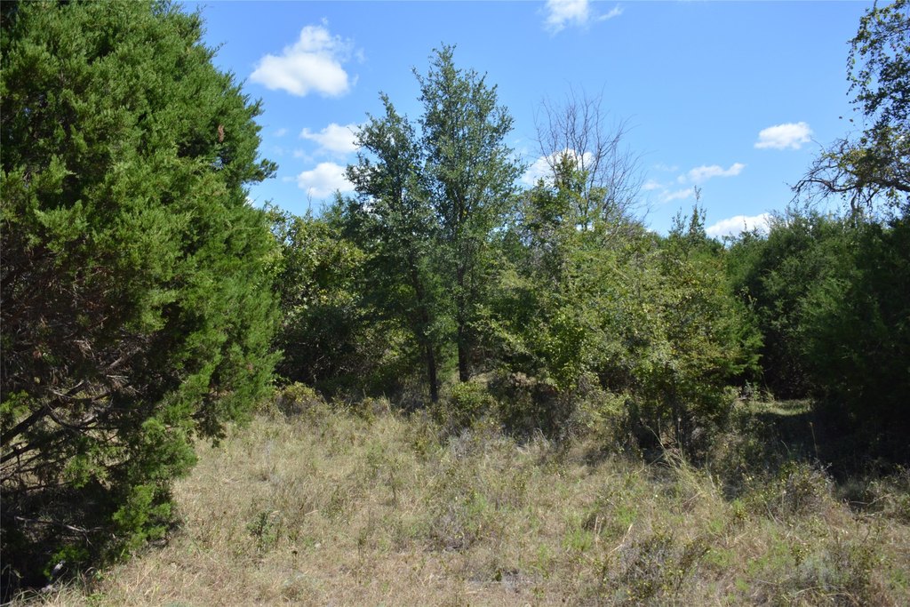 Picture 24