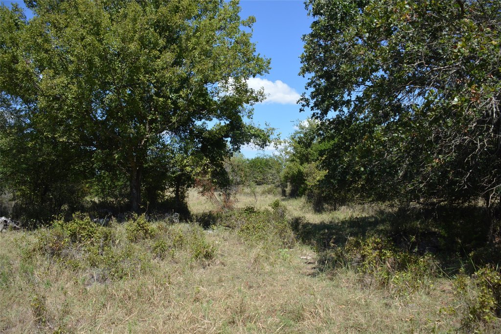 Picture 25