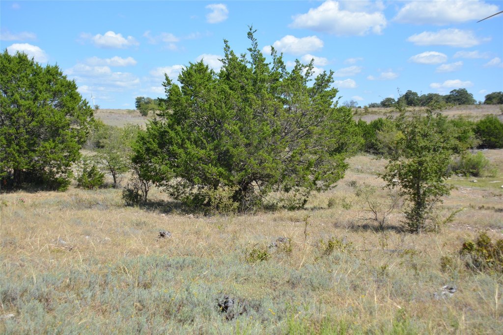 Picture 23