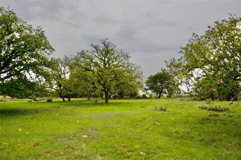 Fenced Ranch with Road Frontage