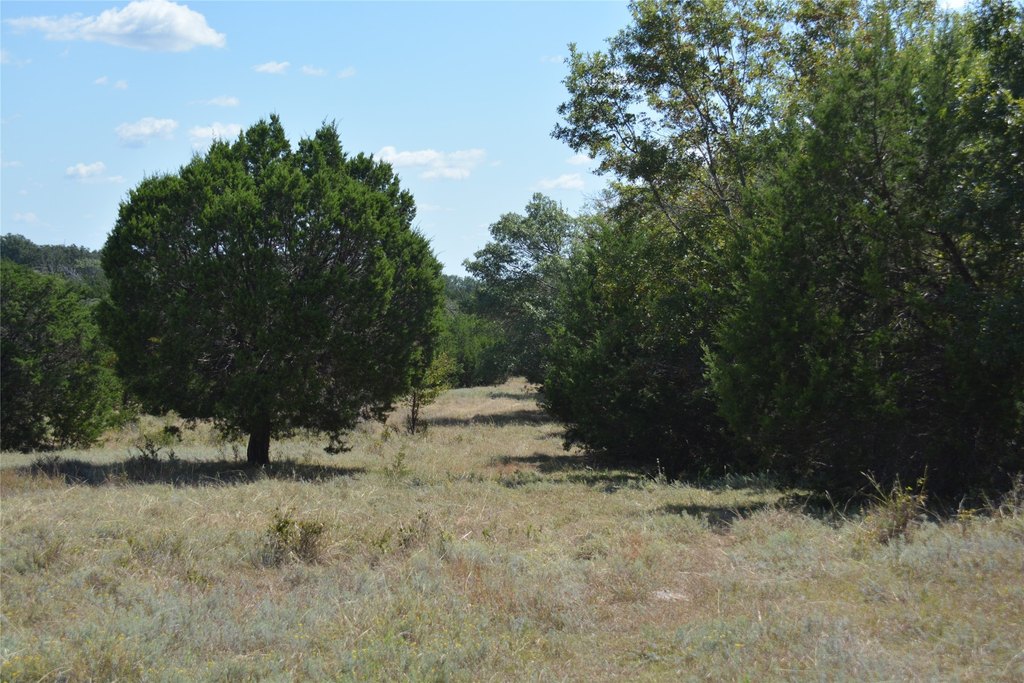 Picture 22