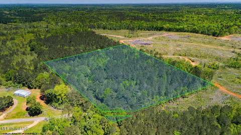 Raleigh, MS 11-Acre Land
