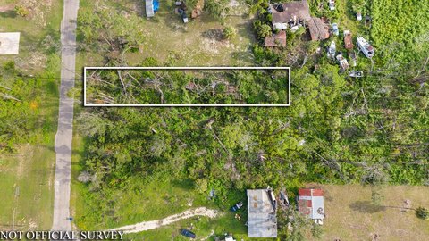 Land, Steinhatchee, FL