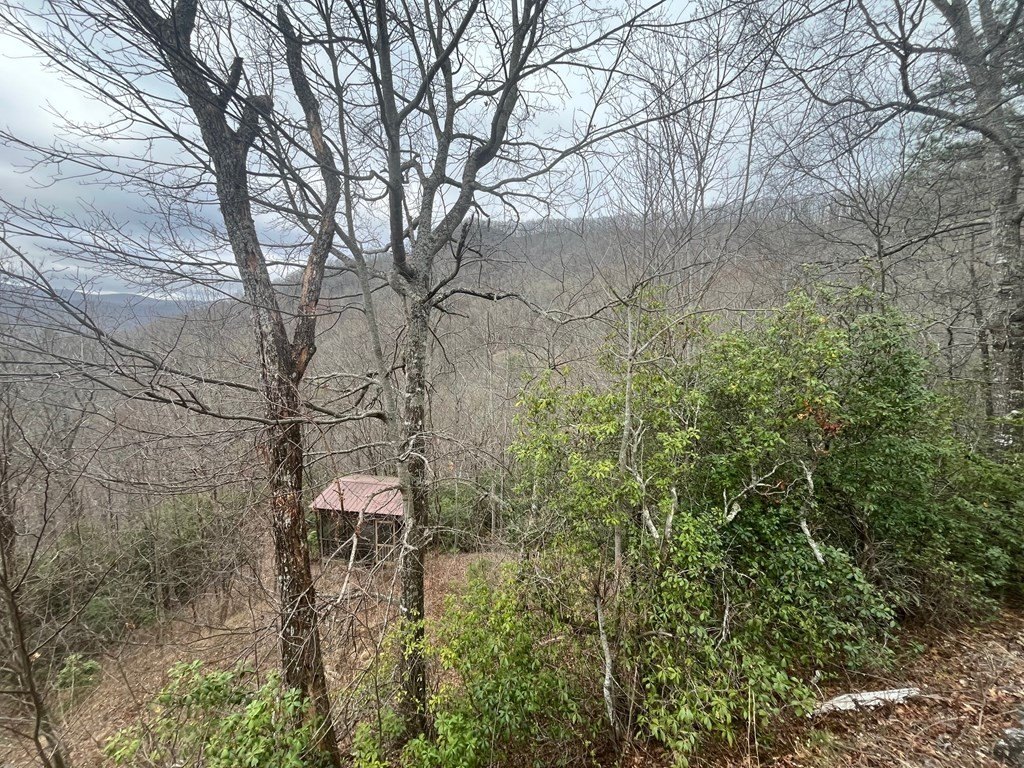 Picture 11
