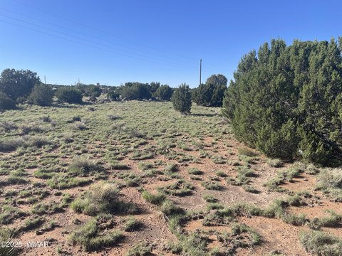 Land in Concho Valley