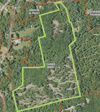 Large Lot with Stream