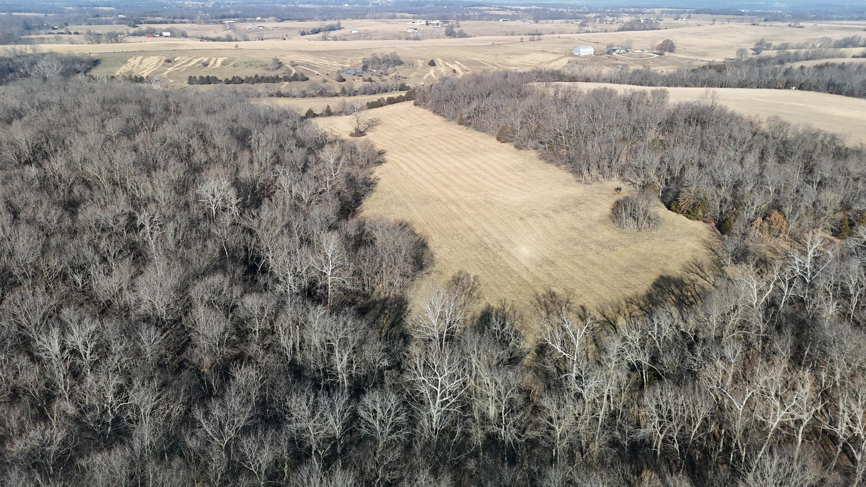 Versatile 40-Acre Land Parcel