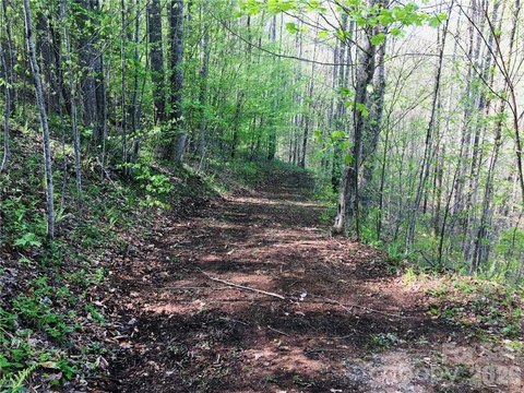 LAND - Mars Hill, NC