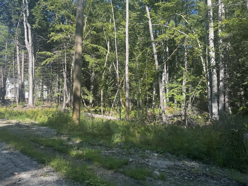 Picture 2