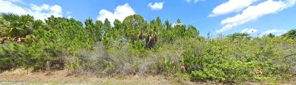 Picture 5
