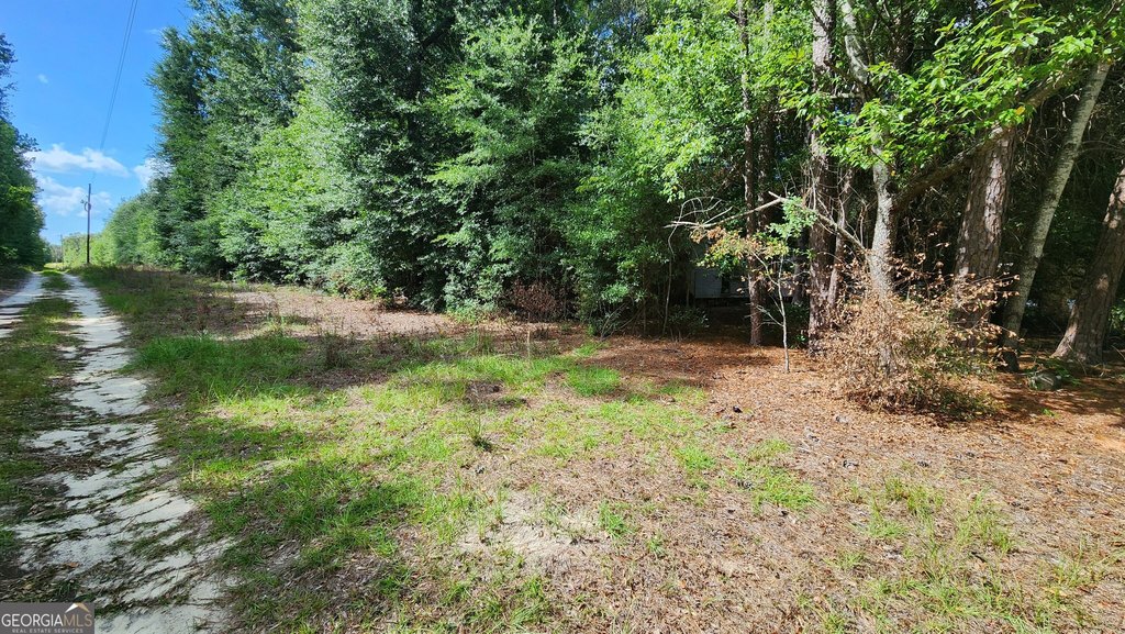 Picture 2