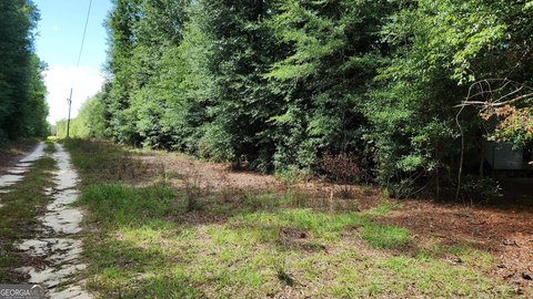Land, Waynesboro, GA