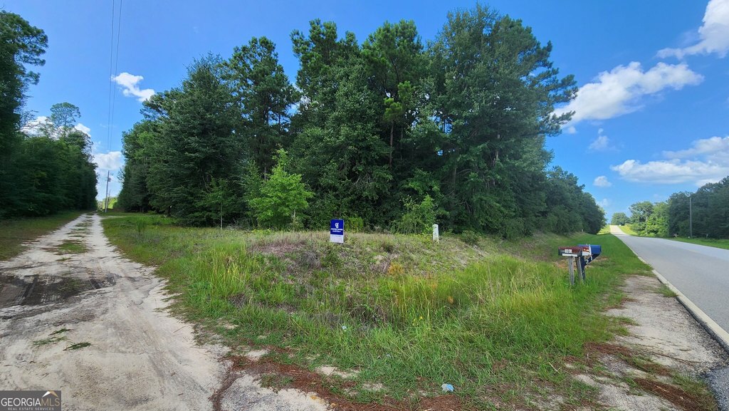Picture 5