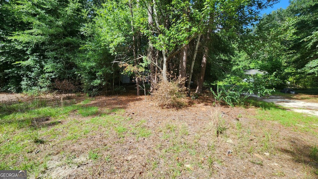 Picture 3