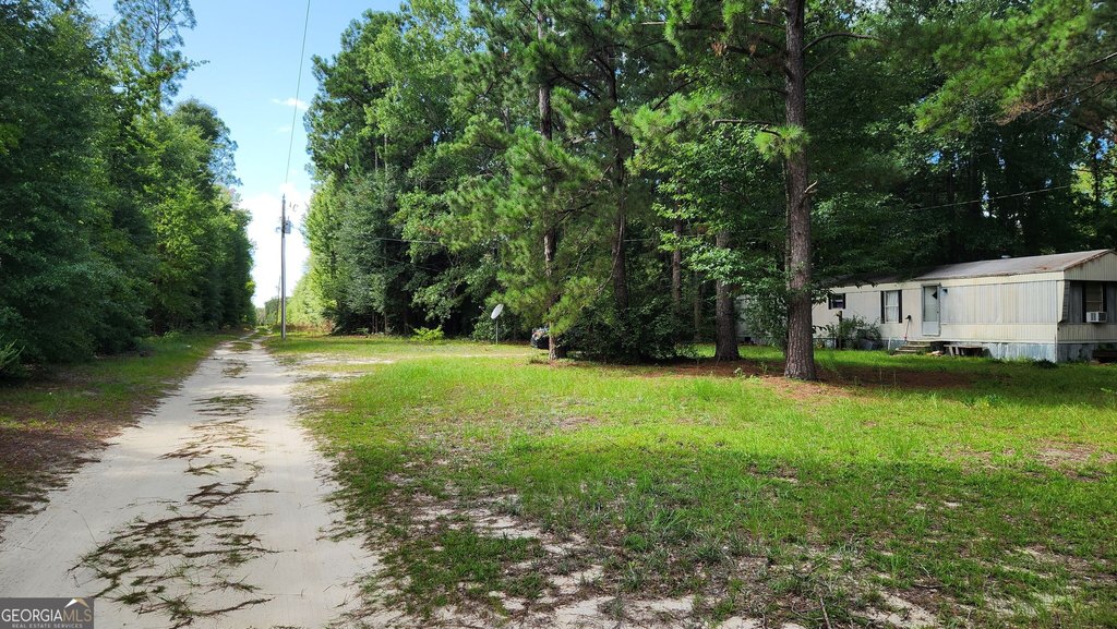 Picture 8
