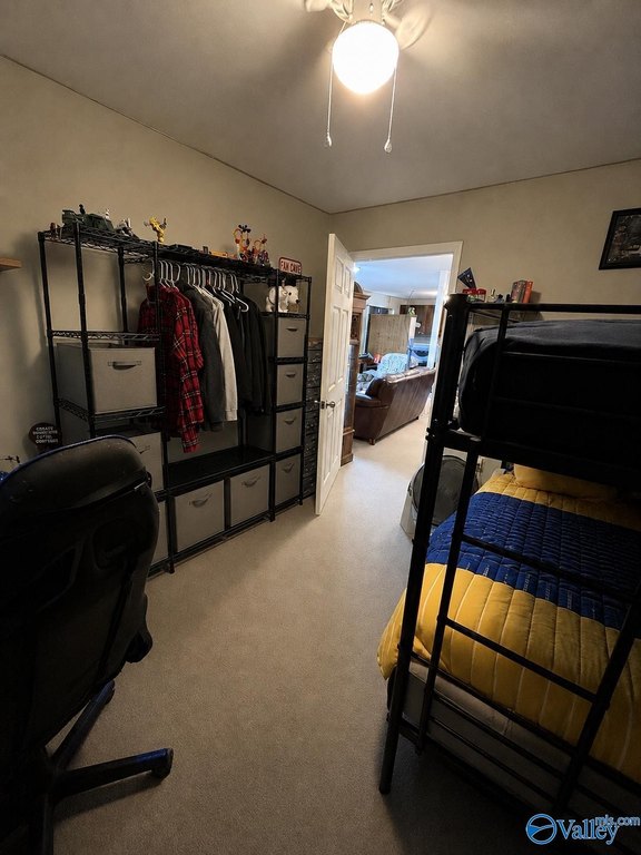 Picture 38