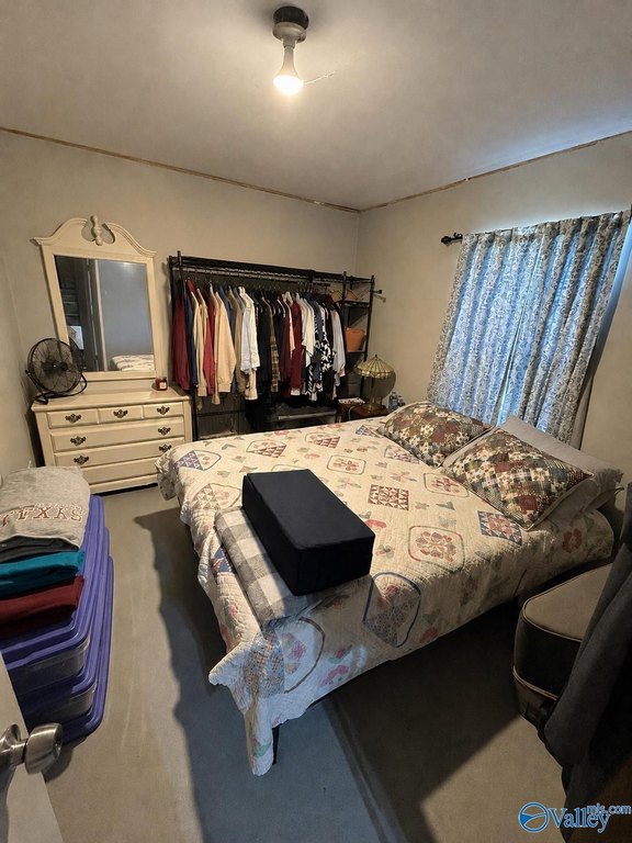 Picture 39
