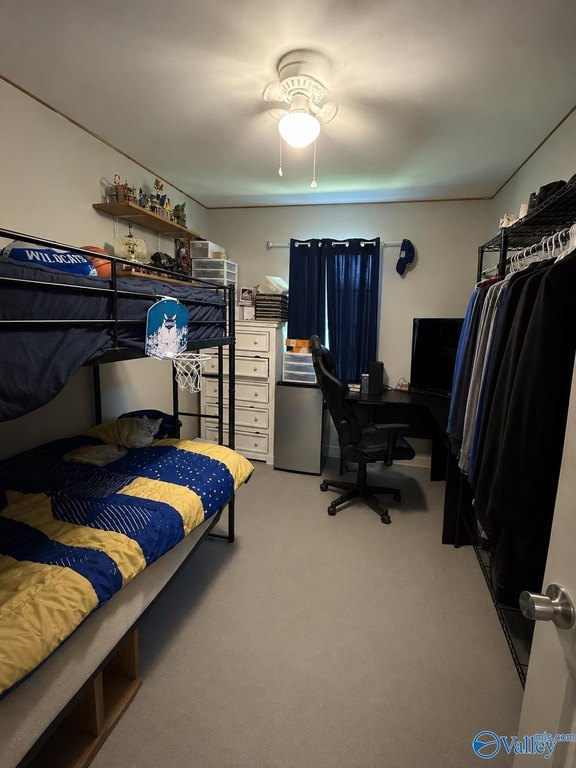 Picture 37