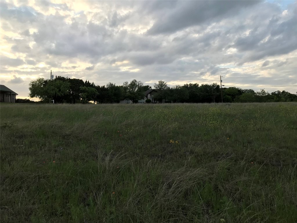 Picture 4