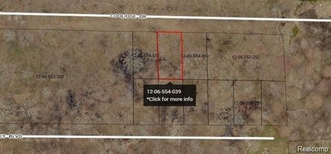 Residential Land in Grand Blanc