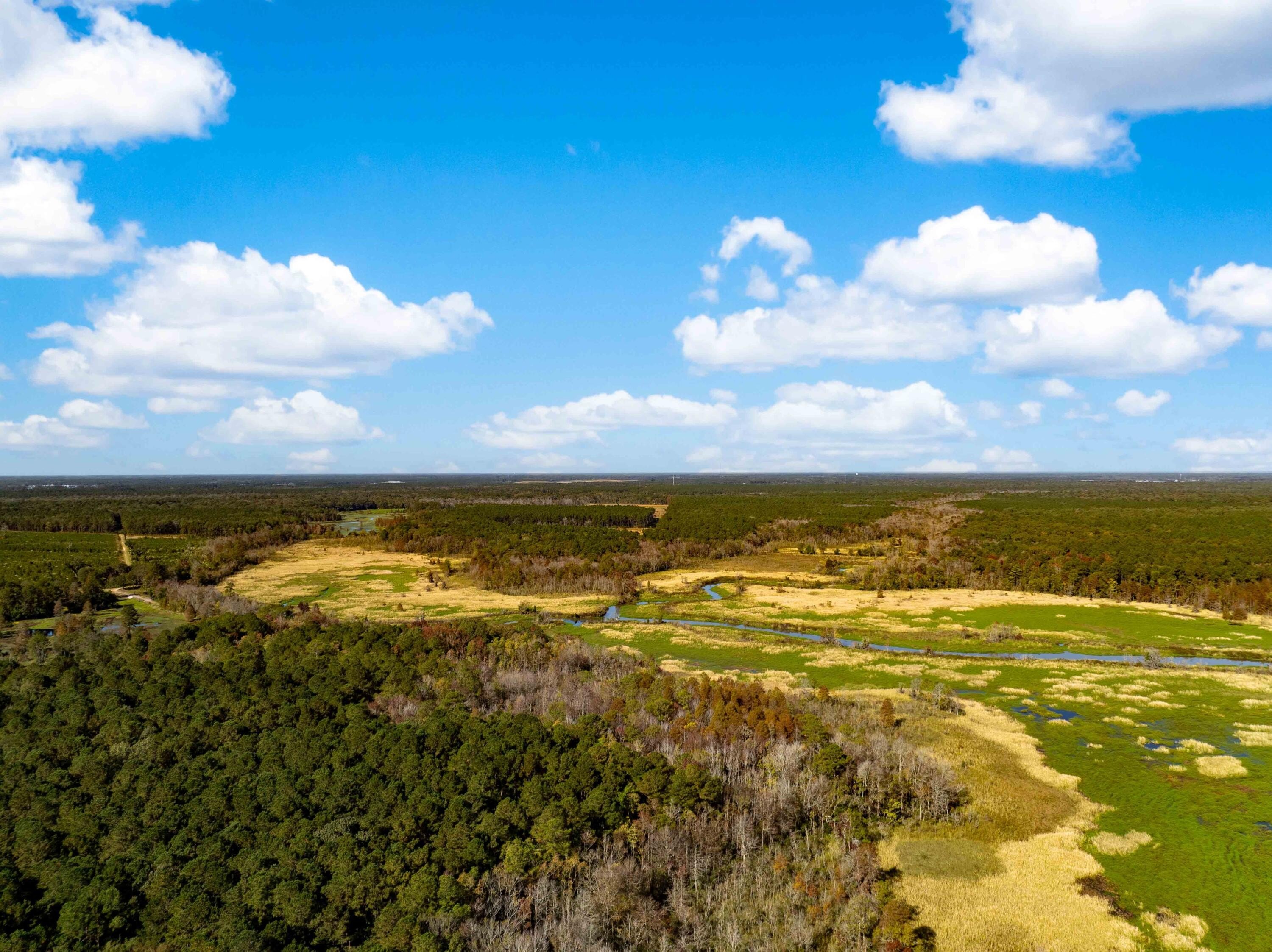 85 Acres on Cooper River