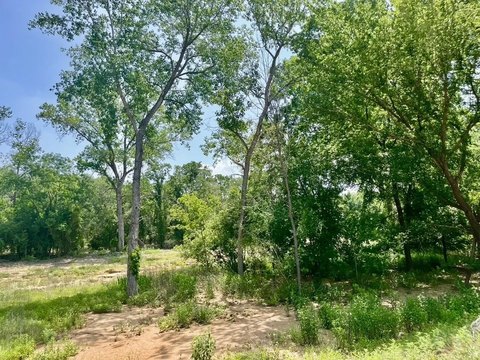 Wooded Cul-de-Sac Home Lot